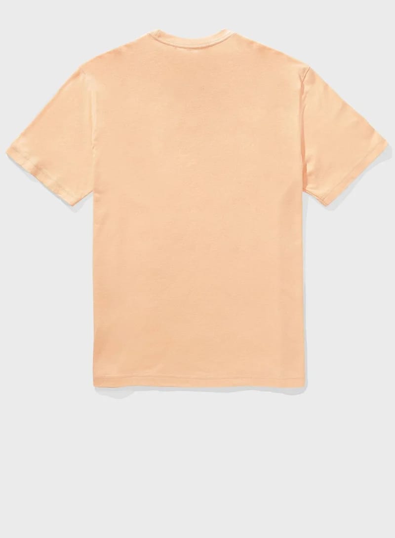 AMERICAN EAGLE T-SHIRT